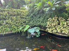 -广州白天鹅宾馆