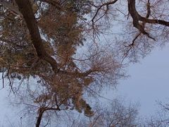 -长春市南湖公园