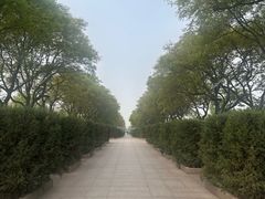 -中国人民抗日战争纪念雕塑园