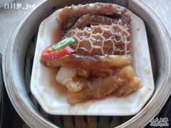 金钱肚拼牛筋-金汇景海鲜酒家