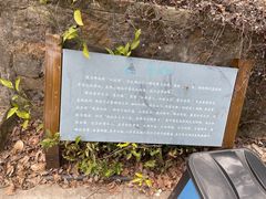 -雨花胜境