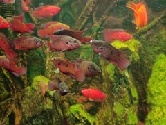 -多彩贵州城极地海洋世界