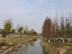 -九科绿洲