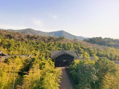 -大唐贡茶院