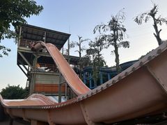 -重庆海昌加勒比海水世界