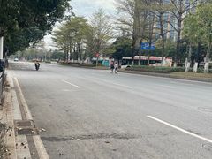 -长洲岛