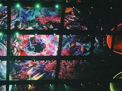 -华中科技大学光谷体育馆