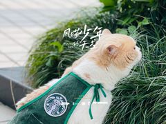 -UN CAFFE(五角场店)