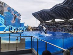 -上海海昌海洋公园