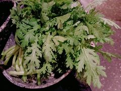 -哥老官重庆美蛙鱼头(圆融广场店)