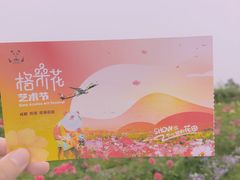 -空港花田景区