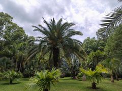 -深圳仙湖植物园