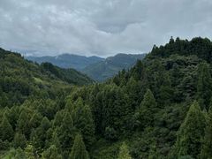 -山王坪喀斯特国家生态公园