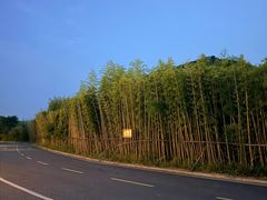 -大唐贡茶院