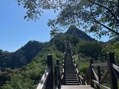 -大岭沟猕猴桃谷风景区