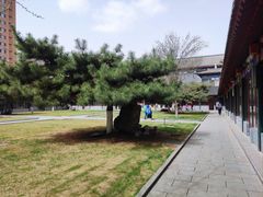 -护国法轮寺
