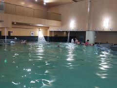-嘉佑温泉水世界