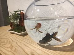 -Tian品