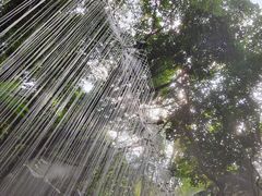-青青世界