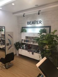 -798·beaver海狸荟