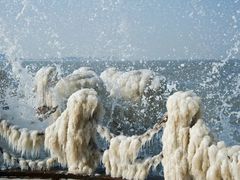-林海公园
