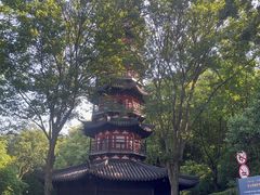 -上海佘山国家森林公园西佘山园