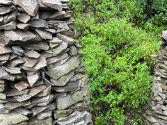 -帽儿山国家森林公园