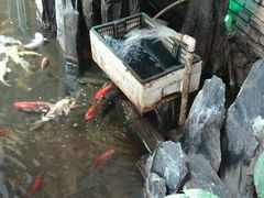 -笨鸡小跑·临沂炒鸡·佛跳墙(罗庄店)