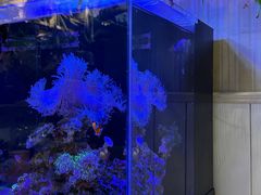 -Rabbit Cafe私房西餐甜点咖啡(栖霞路店)