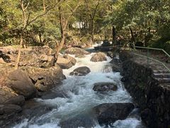 -白云源风景区