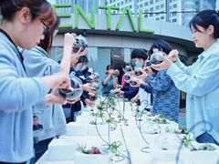 -极光口腔·矫正种植修复(锦江店)