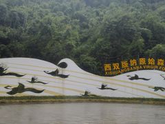 -西双版纳原始森林公园