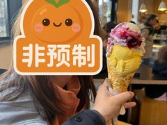 -Patagonia Chocolates(皇后镇店)