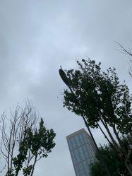 -HEYAN长风荷妍专业脱毛美肤
