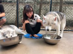 -TrueLove @ Neverland (Husky Cafe)