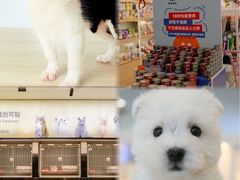 -翊宠yipet猫狗购宠庄园