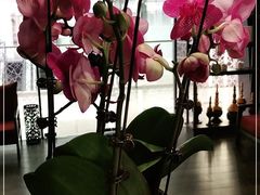 -LANN I 蘭 泰式古法按摩(徐家汇城开YOYO店)