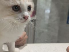 -瑞鹏瑞爱宠物医院·全科·猫科·血液透析中心(龙头寺店)