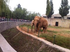 -石家庄市动物园