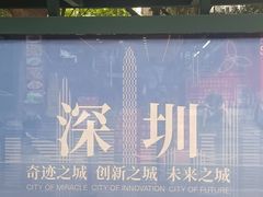 -鹏城八珍深圳特产手信(罗湖店)