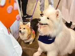 -香港会议展览中心演讲厅