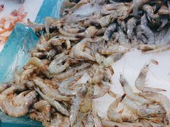 -新艺自助美食城(中山路店)