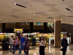 -新加坡瑞士史丹福酒店