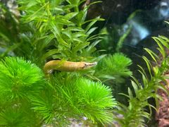 -上海海洋水族馆