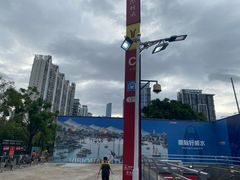 -潭村(地铁站)