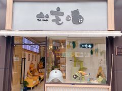 -山宅一喵德文卷毛猫舍