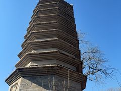 -正阳书局(西四南大街店)