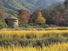 -塔川景区