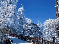 -瓦屋山景区
