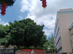 -广州神农草堂中医药博物馆